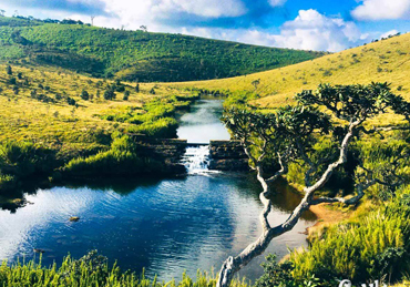 Horton plains