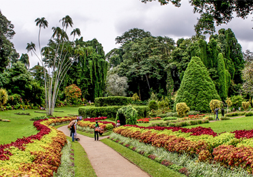 Royal Botanical Garden in Peradeniya