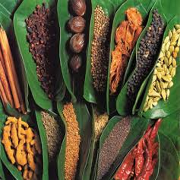 tour-listing-details-slide