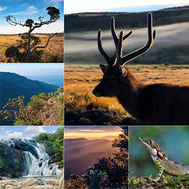 tour-listing-details-slide