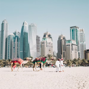 tour-listing-details-slide